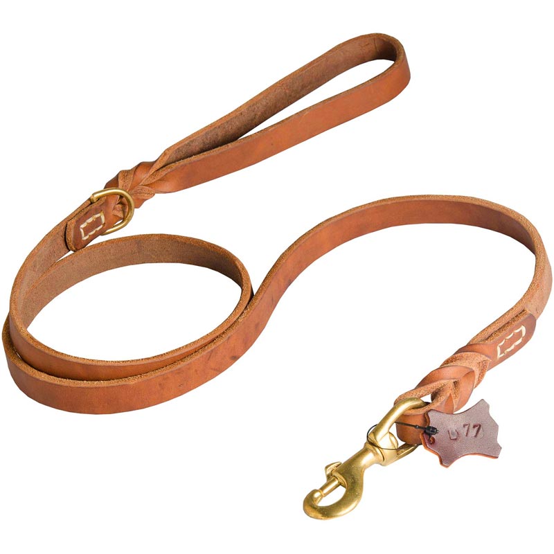 Walking and Training Leather Amstaff Leash with Comfy Handle