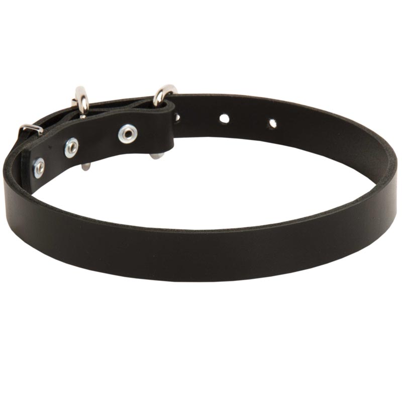 Amstaff Leather Dog Collar 1 inch Wide