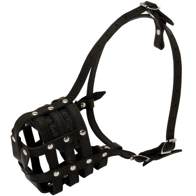 Walking and Training Leather Cage Amstaff Muzzle - Click Image to Close