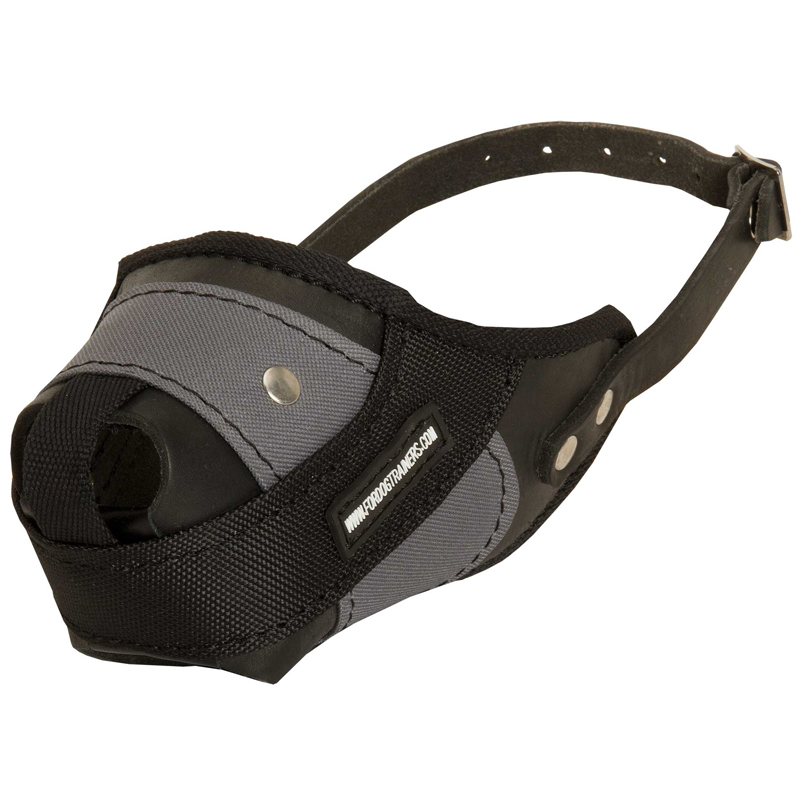 Protection Training Amstaff Muzzle Made of Nylon and Leather