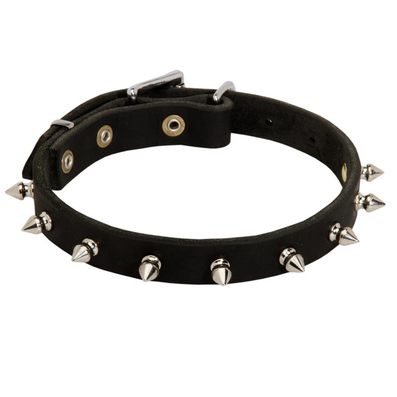 Amstaff Leather Collar Spiked 3/4 Inch