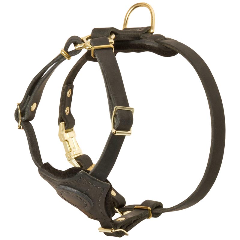 Spruce Leather Amstaff Harness With Small Chest Plate