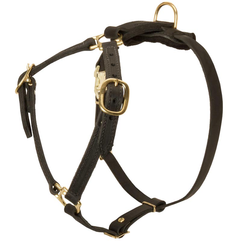 Y-Shaped Leather Amstaff Harness for Tracking and Training - Click Image to Close