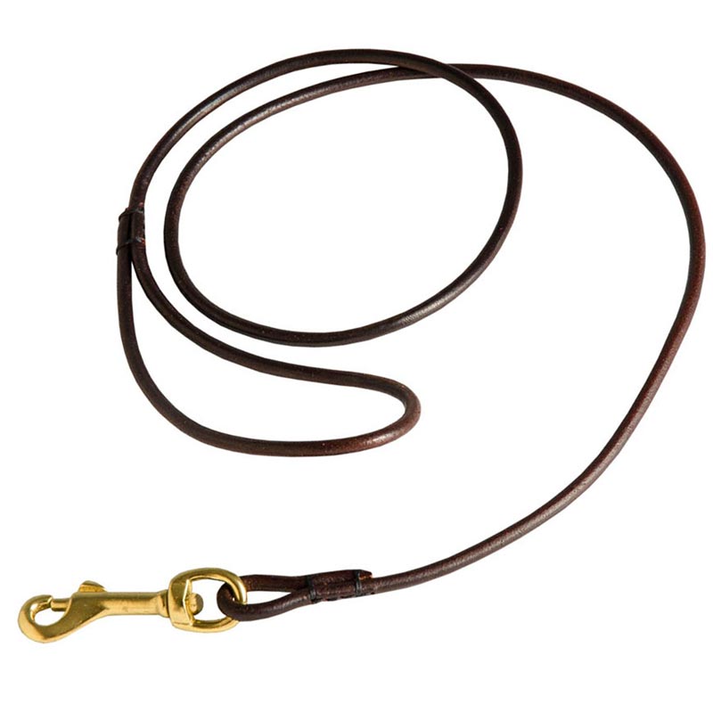 Fully Beneficial Show Leather Amstaff Leash - Comfort for You and Your Dog - Click Image to Close