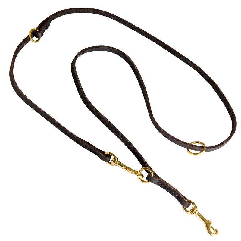 Multifunctional Leather Amstaff Leash for Walking and Training - Click Image to Close