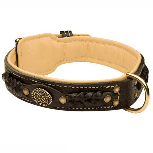 Amstaff Leather Collar Braided - Click Image to Close