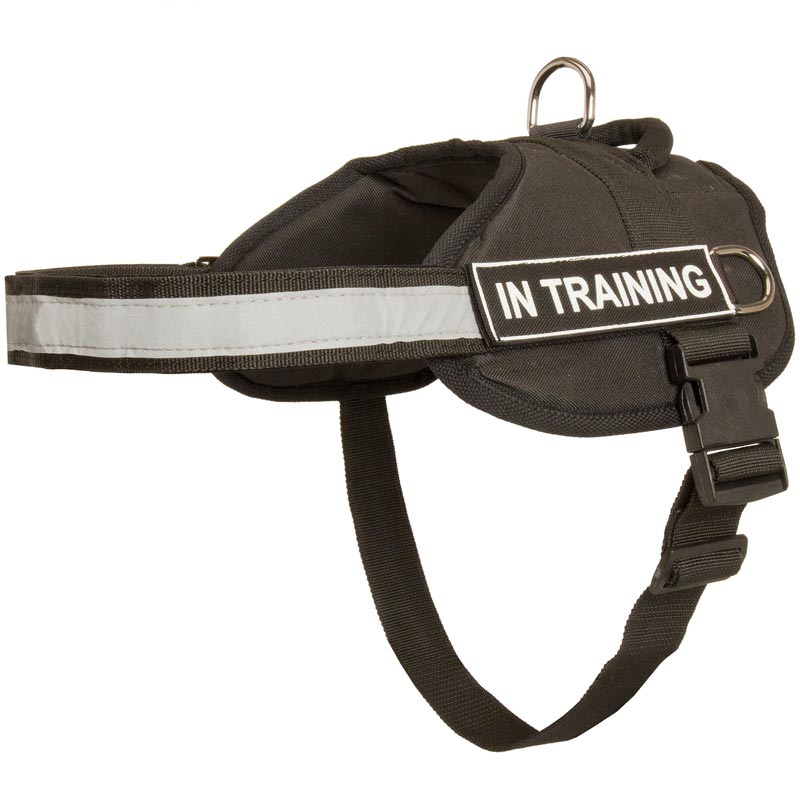 Nylon Amstaff Harness with Reflective Strap for Training, Walking, Police Service, SAR and More - Click Image to Close