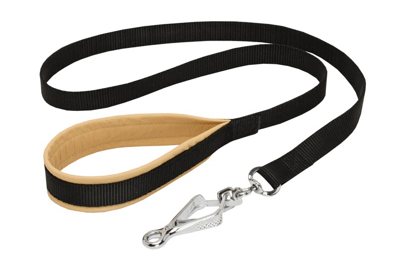Nylon Amstaff Leash with Support Material on the Handle for Walking and Training