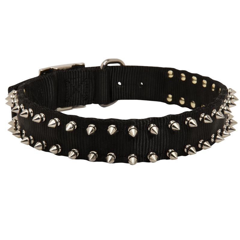 Amstaff Nylon Collar Spiked