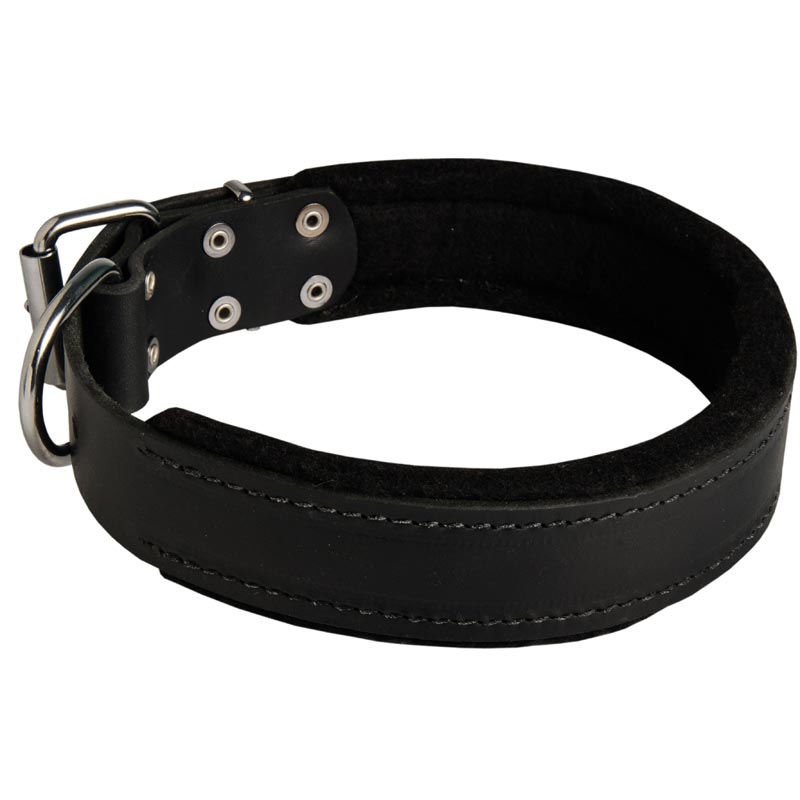 Amstaff Durable Padded Leather Collar 40 mm