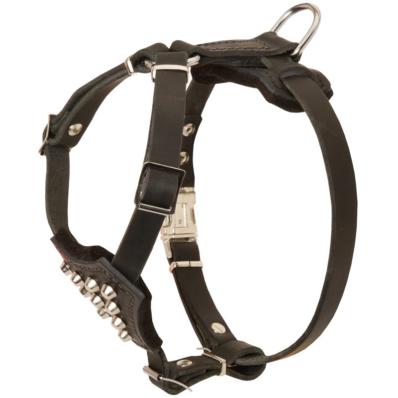 Studded Leather Amstaff Puppy Harness