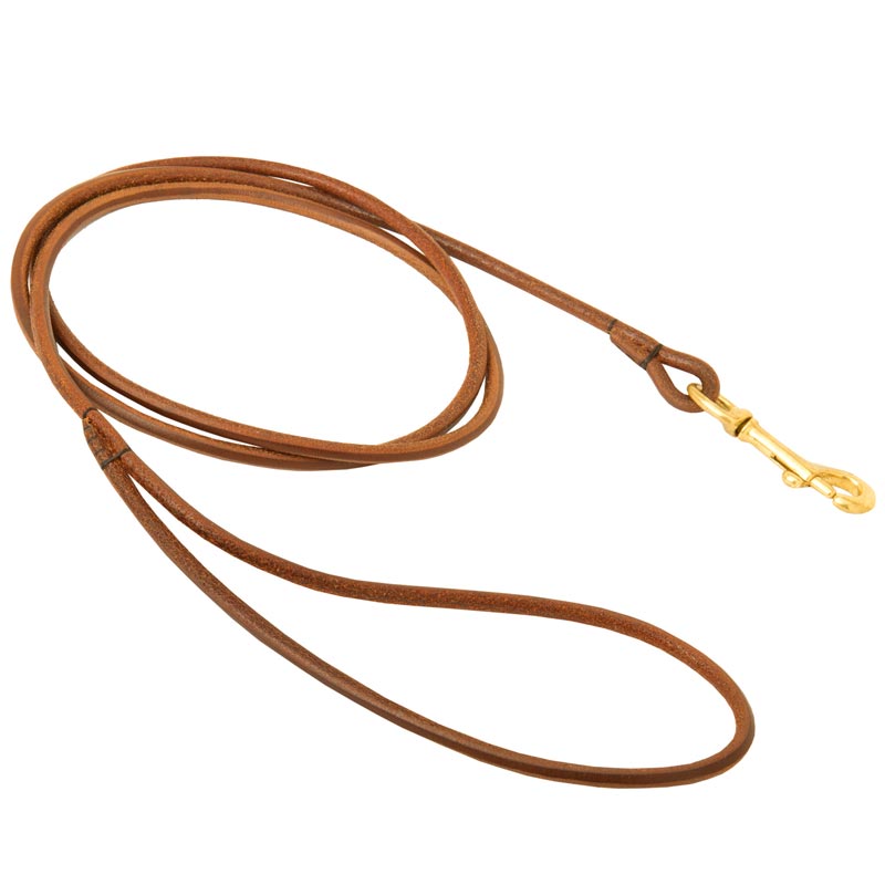 Round Leather Amstaff Leash for Dog Shows