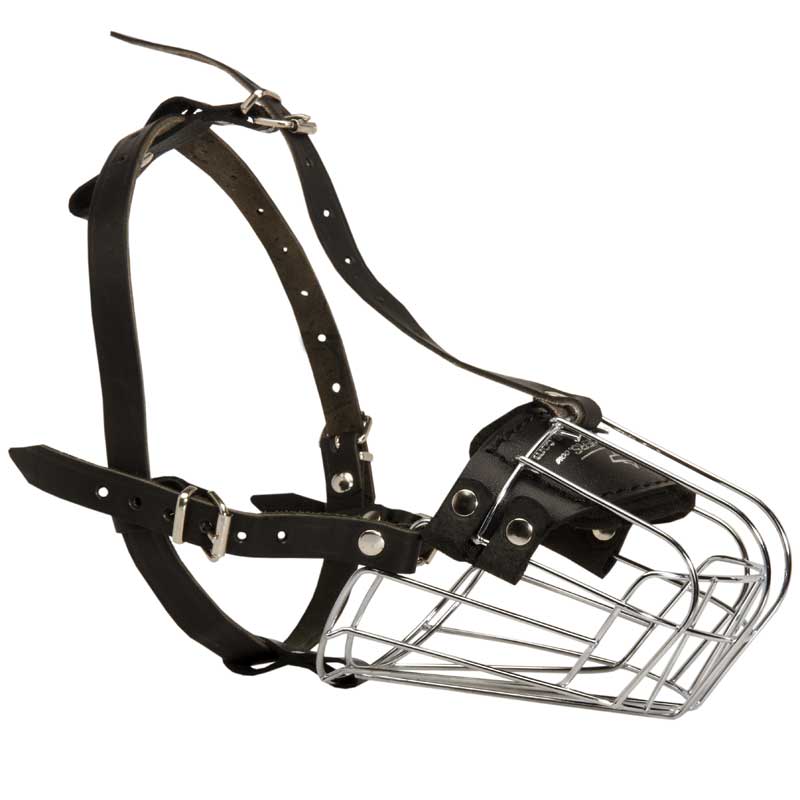 Wire Basket Amstaff Muzzle for Comfortable Walking and Training