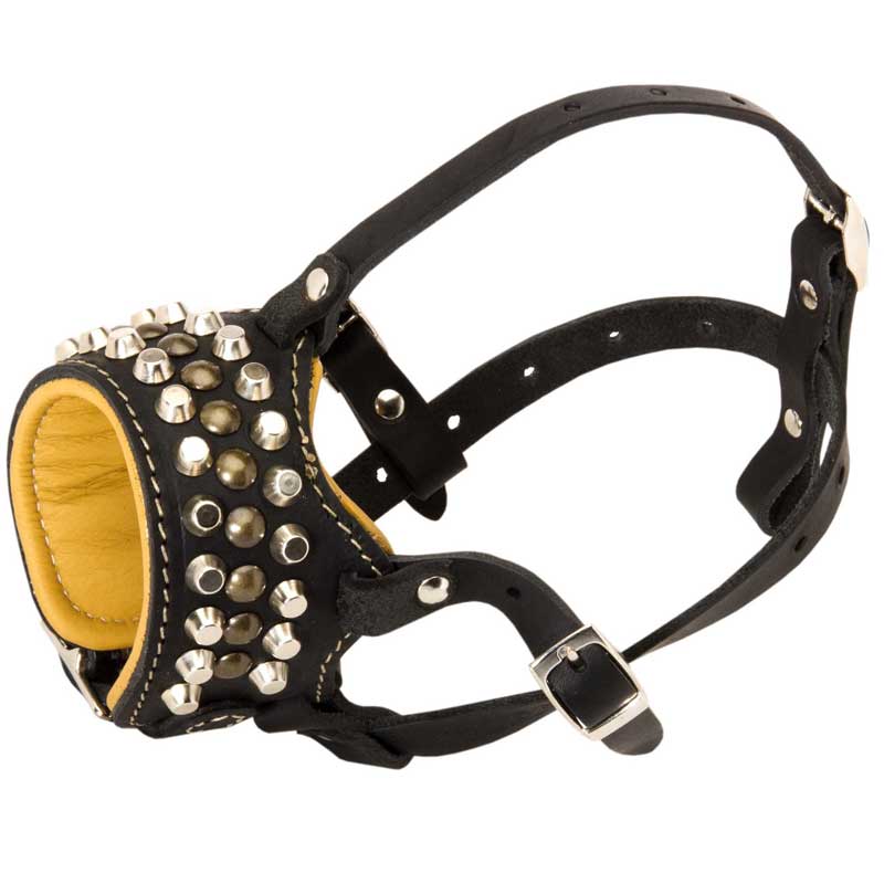 Posh Studs and Cones Handmade Leather Amstaff Muzzle