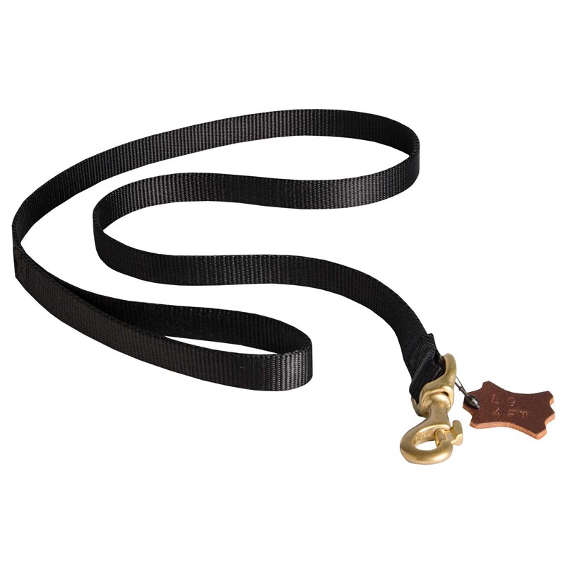 Nylon Amstaff Leash for Walking, Training, Tracking and Police Work
