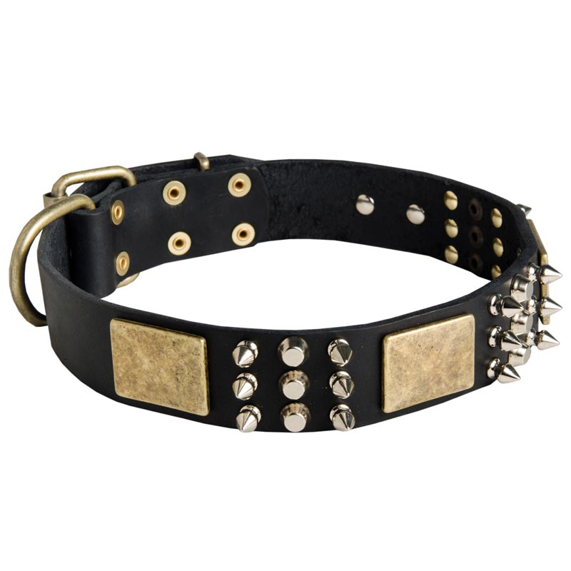 Spiked Leather Amstaff Collar with Plates and Cones