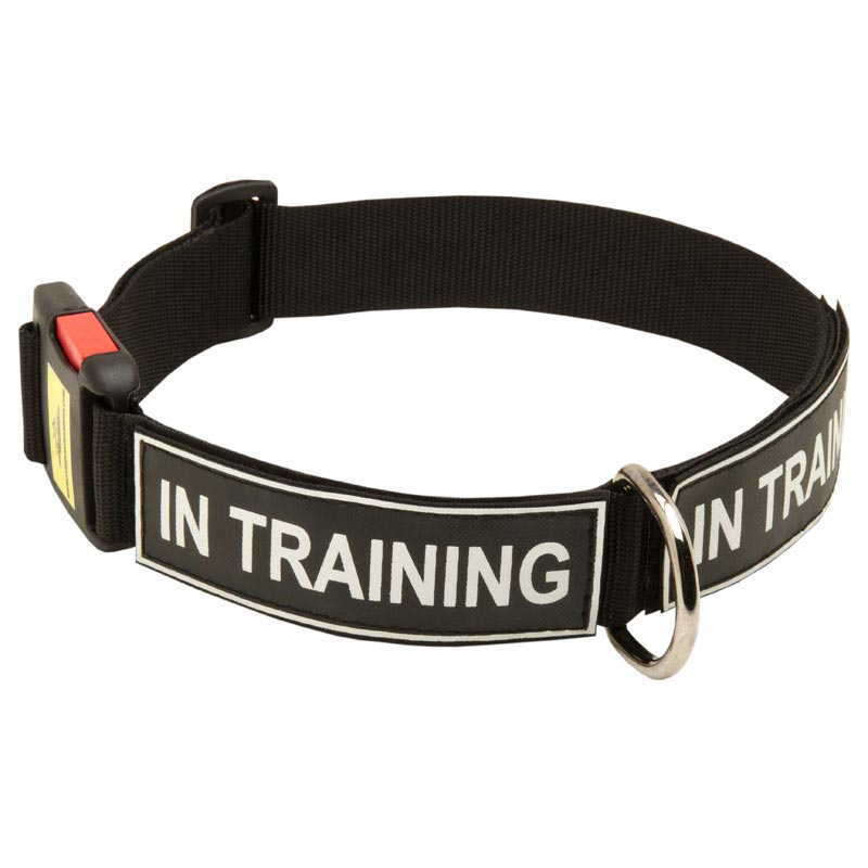All Weather Nylon Amstaff Collar with ID Patches