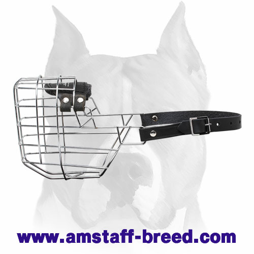 'The Silencer' Wire Cage Amstaff Muzzle With One Strap