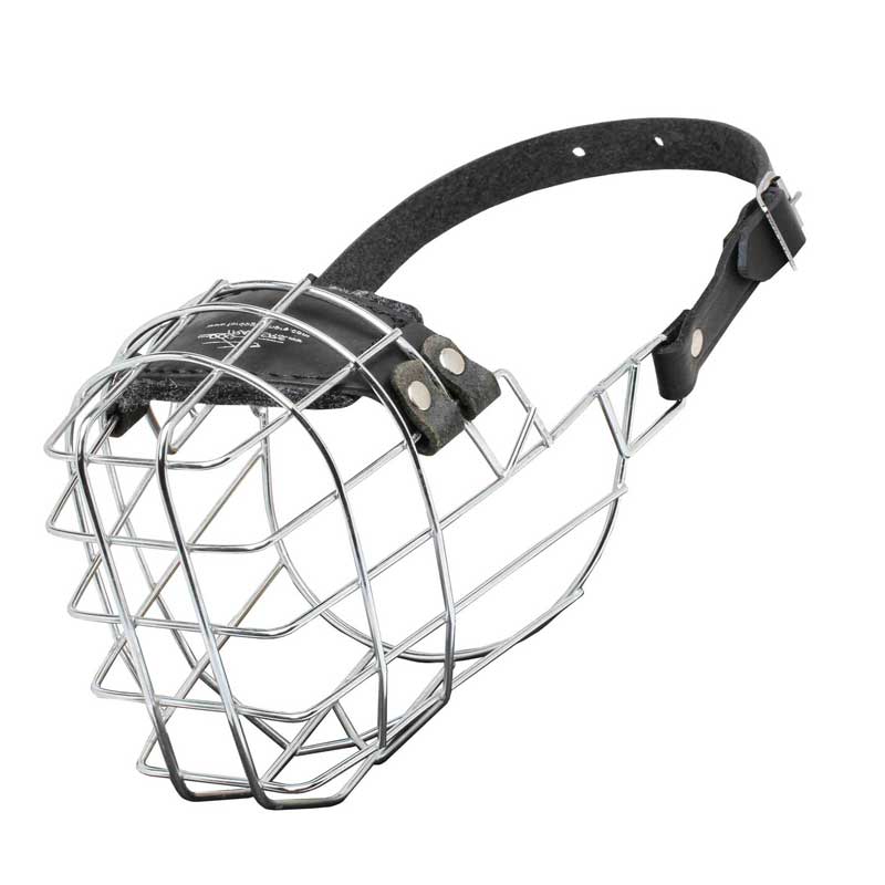 'The Silencer' Wire Cage Amstaff Muzzle With One Strap