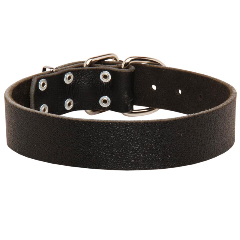 Wide Leather Amstaff Collar for Training and Walking