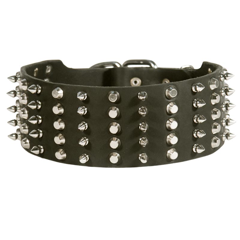 Amstaff Leather Collar Spiked and Studded