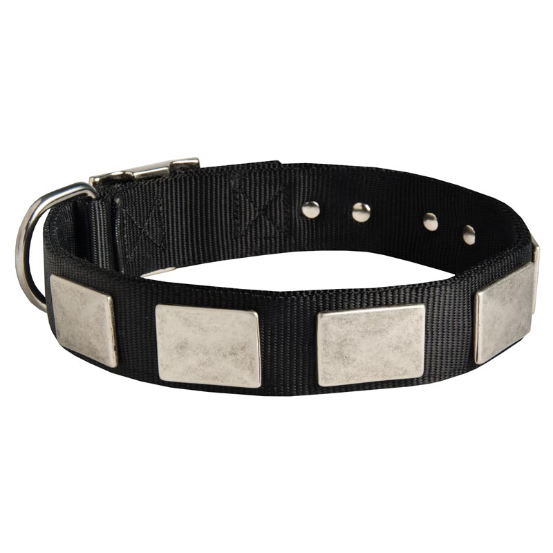 Nylon Amstaff Collar Massive Nickel Plates
