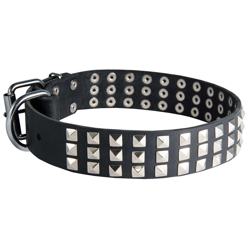 Leather Amstaff Collar with 3 Rows of Nickel Pyramids