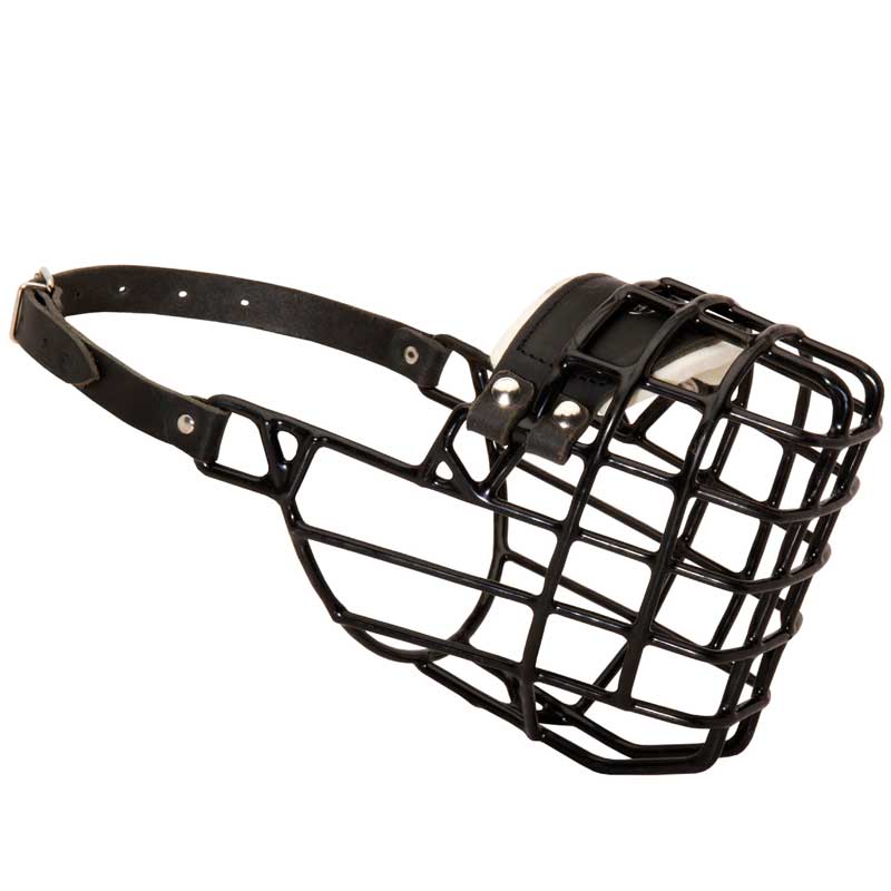 Frost-Resistant Wire Cage Amstaff Muzzle with One Adjustable Strap