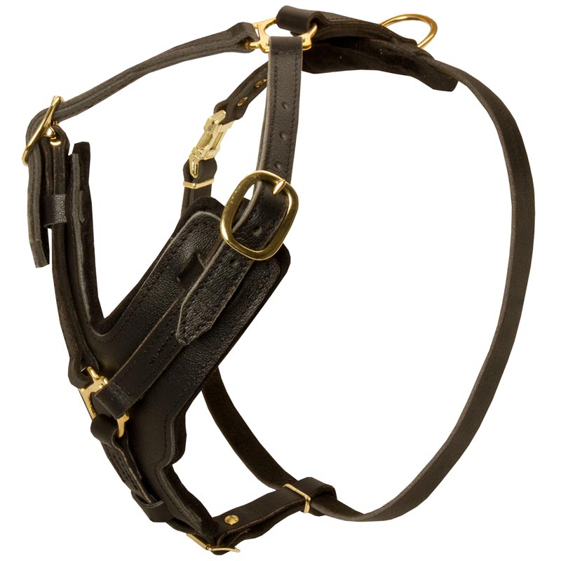 Padded Leather Amstaff Harness for Agitation Training - Click Image to Close