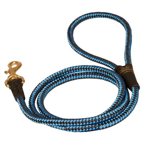 Cord nylon dog leash for Amstaff dog
