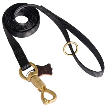 Professional Nylon Dog Leash for Police Training of Amstaff