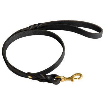 Best Training Amstaff Leash with Braided Details on Opposite Sides