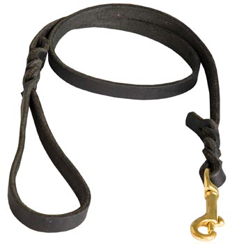 Training Leash for Amstaff