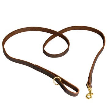 Durable Leather Amstaff Leash