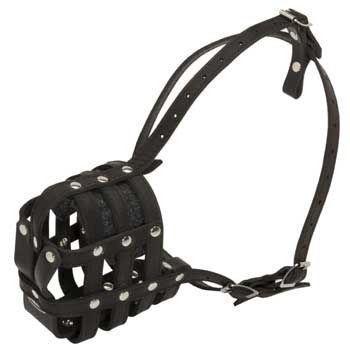 Leather Cage Amstaff Muzzle Padded