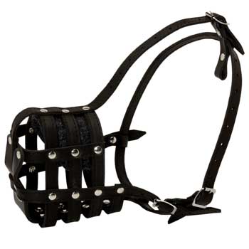 Amstaff Muzzle Leather Cage for Daily Walking