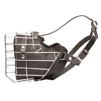 Leather Basket Amstaff Muzzle